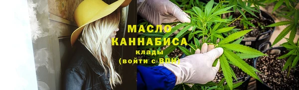 бошки Ладушкин