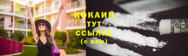 бошки Ладушкин