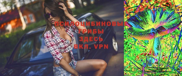бошки Ладушкин