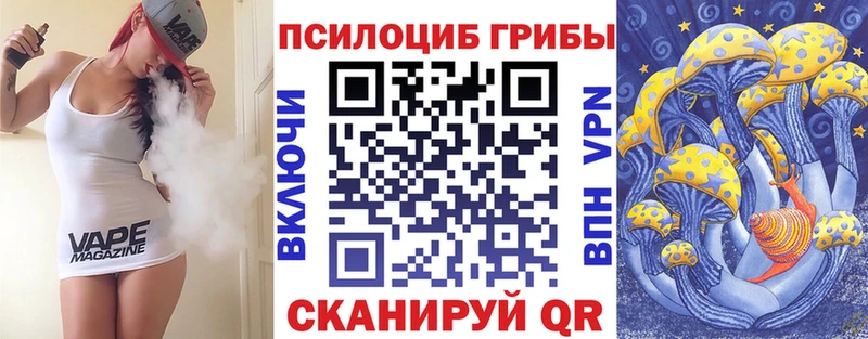 Купить закладки  Нерюнгри  Галлюциногенные грибы Cubensis 